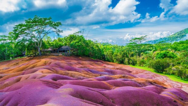 The colorful terrain of Mauritius Island showing vibrant purple and brown earth with lush green trees
