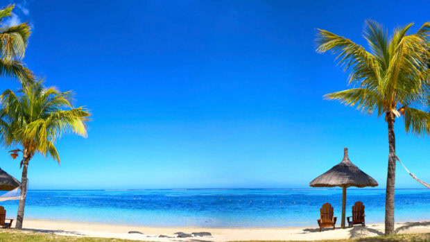Tropical palm trees and wooden chairs on a serene Mauritius Island beach