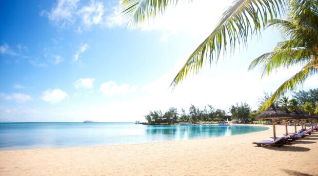 A serene Mauritius Island coast with clear blue sky and tropical palm trees