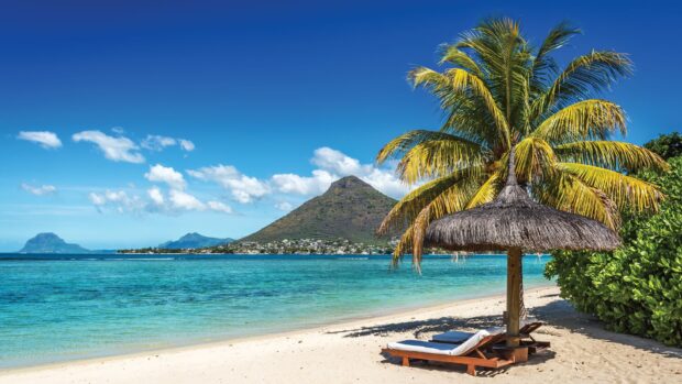 A tropical beach with palm trees and a mountain on Mauritius Island