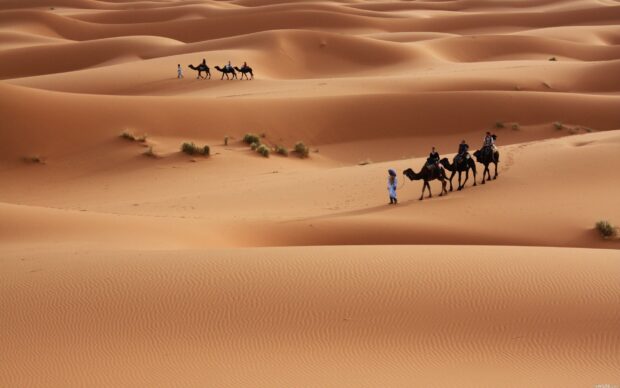 A caravan with people riding camels crossing the vast Middle East desert sand dunes