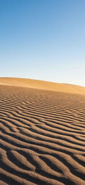 Golden sand dunes with ripple patterns under a clear blue sky in the Middle East
