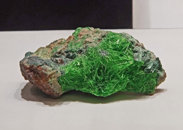 A vibrant green mineral specimen with crystalline formations on a rough rock surface