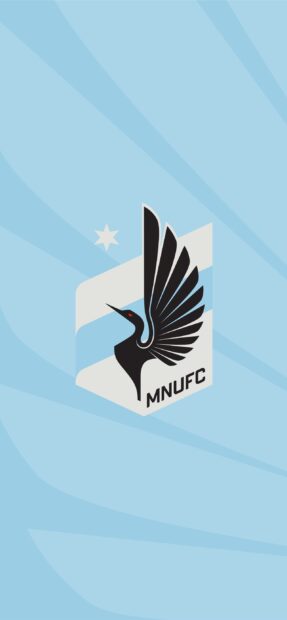 A minimalist design of MNUFC emblem with a black bird and light blue background