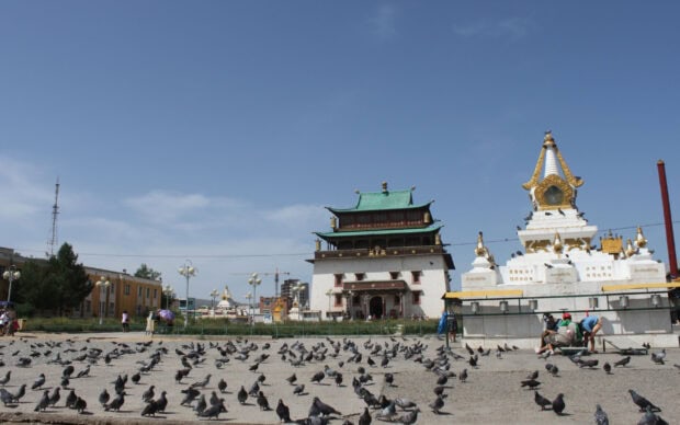 A historic temple with green roof and white stupa surrounded by pigeons in Mongolia
