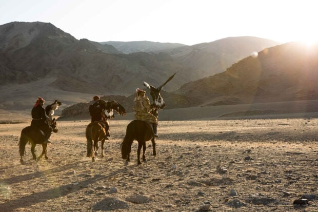 Three riders holding eagles on horses in the vast Mongolia steppe at sunset
