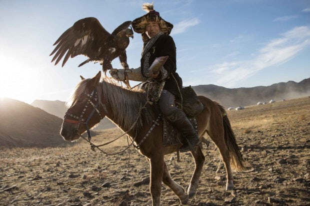 A Mongolian man riding a horse with a trained eagle on his arm in a mountainous landscape