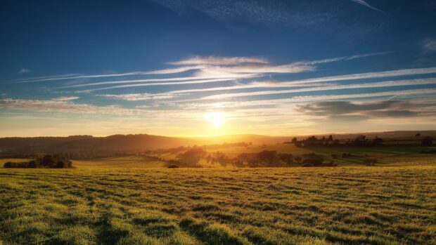 A beautiful Mongolia landscape with green fields under a bright sunset sky