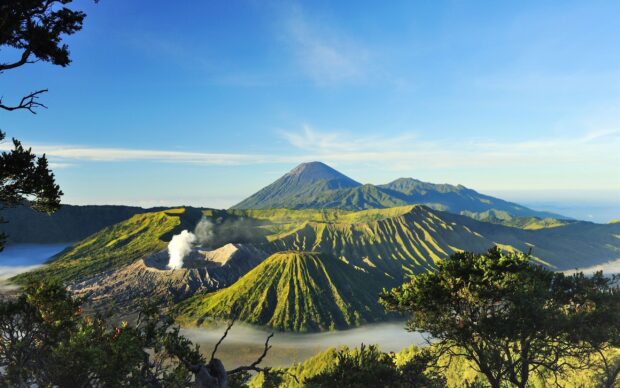 Active Mount Bromo volcano emitting smoke in a lush green landscape under a clear blue sky