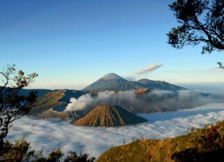 A breathtaking view of Mount Bromo surrounded by mist and framed by tree branches