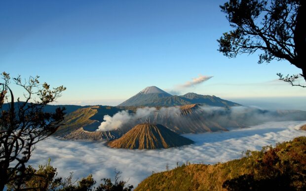 A breathtaking view of Mount Bromo surrounded by mist and framed by tree branches