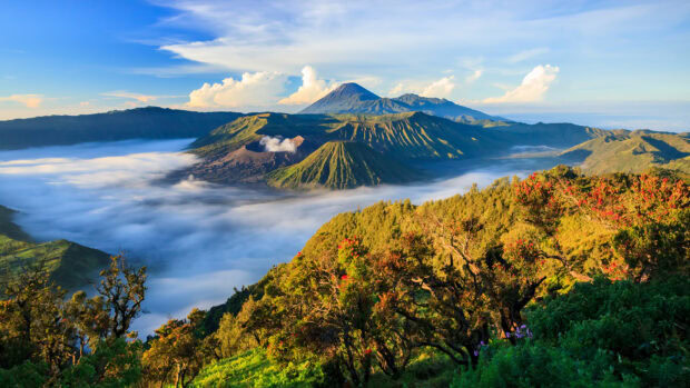 Volcanic landscape of Mount Bromo surrounded by lush greenery and morning mist