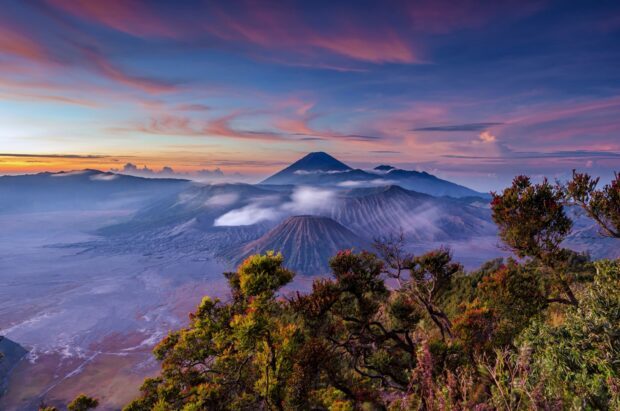 Volcanic landscape of Mount Bromo with lush greenery and morning mist