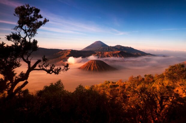 Beautiful landscape of Mount Bromo surrounded by mist and vibrant trees at sunrise