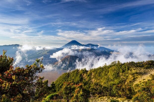 Lush green hills and smoking volcanic peaks with Mount Bromo in the landscape