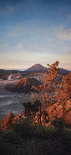 Volcanic landscape featuring Mount Bromo at sunset with surrounding trees and vibrant sky