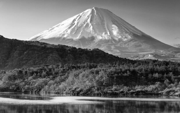 A peaceful view of Mount Fuji with surrounding forests and a reflective lake in black and white