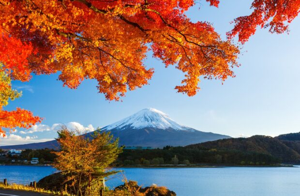Snow capped Mount Fuji with colorful autumn trees by the lake in clear blue sky