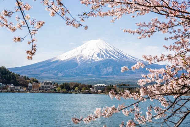 Snow capped Mount Fuji with cherry blossoms and a lake in the foreground
