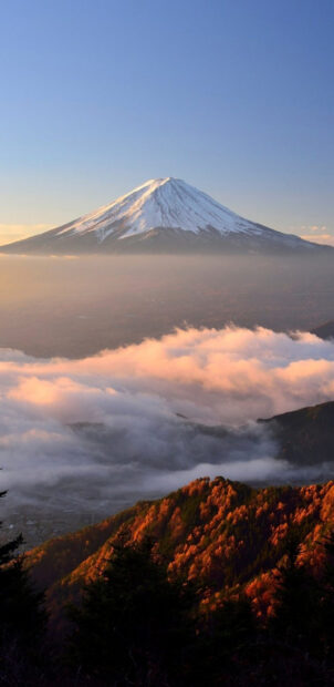 Snow capped Mount Fuji above autumn trees and mist in the early morning light