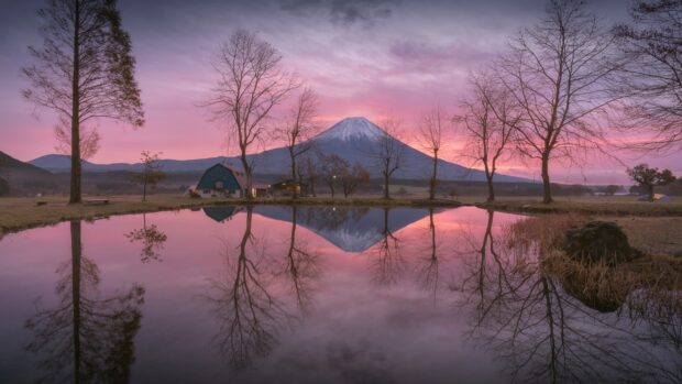 A serene landscape of Mount Fuji reflected in a calm pond surrounded by bare trees at sunset