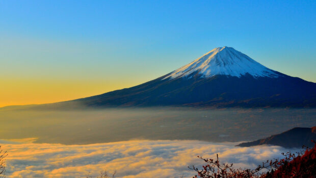 Snow capped Mount Fuji stands above the cloud layer at sunrise with clear sky