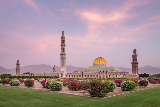 The grand mosque architecture in Muscat Oman under a pink sunset sky with garden blooming flowers