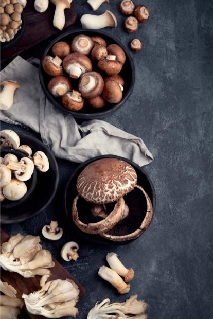 A variety of fresh mushrooms in bowls on a dark textured surface with different types of mushrooms scattered around