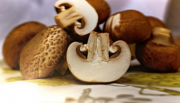 Close up of fresh mushrooms with a sliced mushroom in focus on a table