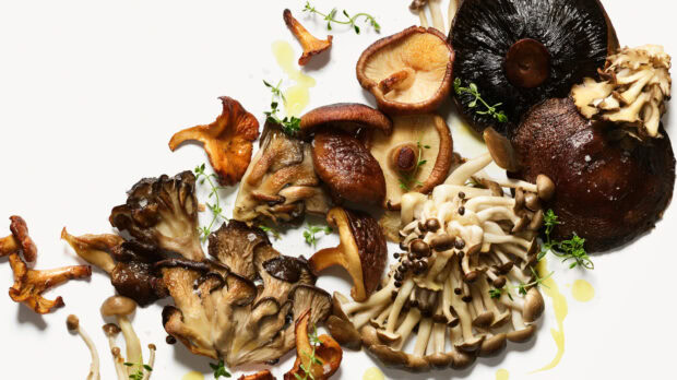 A variety of fresh mushrooms with herbs on a white surface displayed in high detail