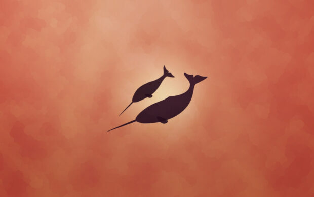 Two narwhal silhouettes swimming together under a glowing orange background