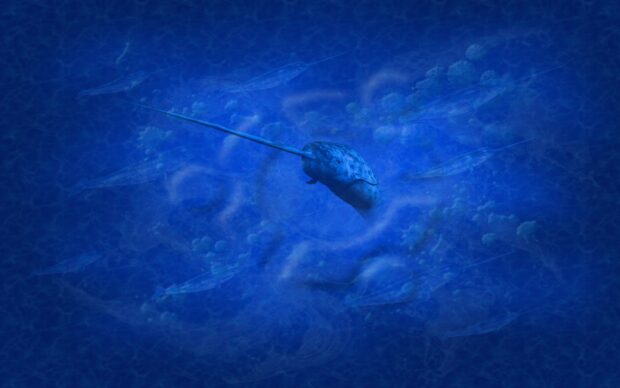 A detailed narwhal swimming in the deep blue ocean with surrounding sea creatures