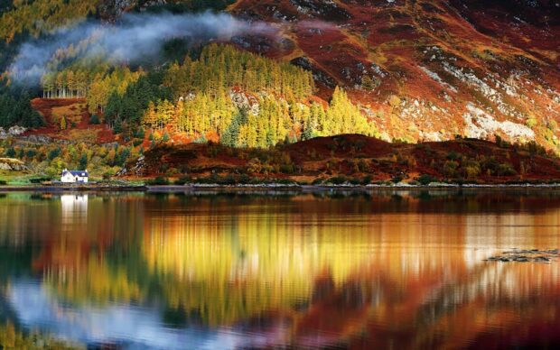 Autumn forest landscape with colorful trees and lake reflection in National Geographic scenery