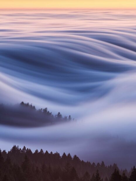 Mist rolling over forest hills at sunrise showcasing National Geographic nature