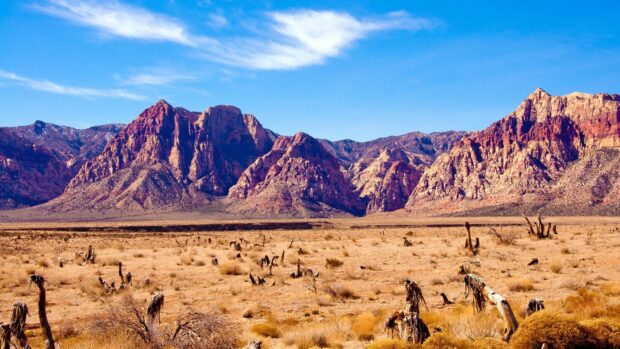 Dry desert landscape with red rocky mountains under a bright blue sky in Nevada