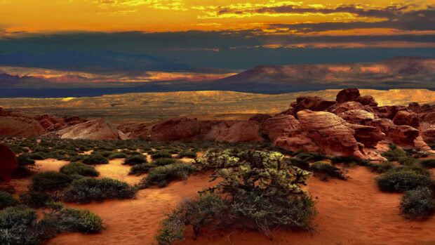 Red rocky desert landscape with bushes under dramatic sunset in Nevada