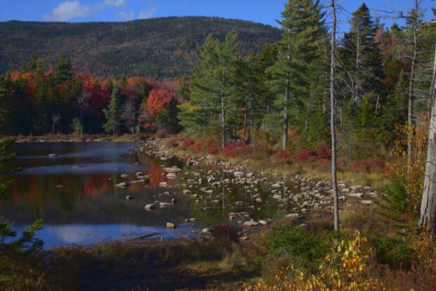 Colorful autumn forest with rocky riverbank in New Hampshire nature scene