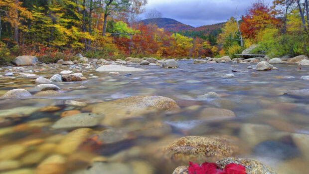Colorful New Hampshire trees with river rocks in the foreground during autumn