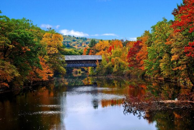 Autumn forest colors near a covered bridge in New Hampshire surrounded by vibrant trees