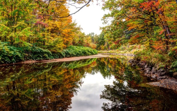 Autumn forest in New Hampshire with colorful trees reflected in a calm river