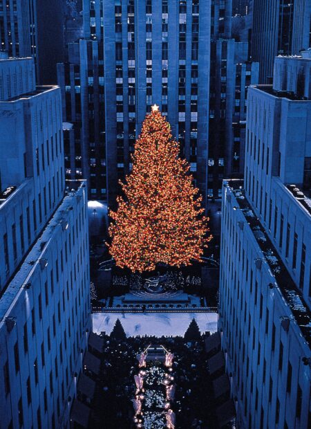 New York Christmas decorated tree glowing brightly between tall buildings at night