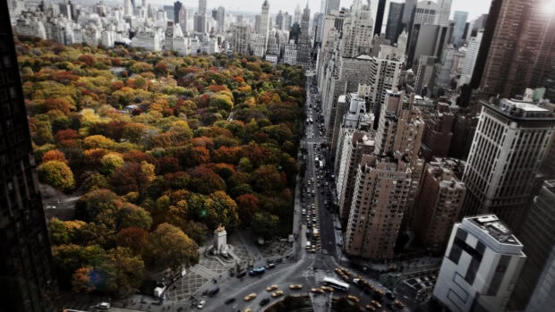New York streets showcasing vibrant fall foliage along the urban park and busy city intersection