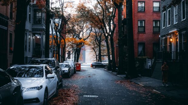 Quiet New York streets with autumn trees and parked cars lining the road
