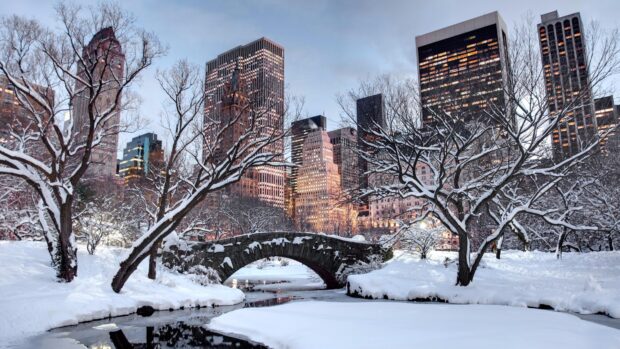 Snow covered trees and stone bridge in New York Streets surrounded by skyscrapers in winter
