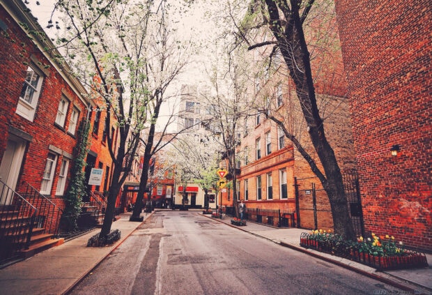 Quiet New York streets lined with blooming trees and brick buildings in spring