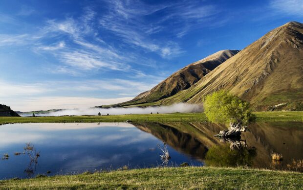 A scenic view of New Zealand nature with mountains grass and a tree reflected in calm water