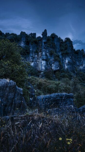 Dense bush and rugged rock formations in New Zealand under a twilight sky