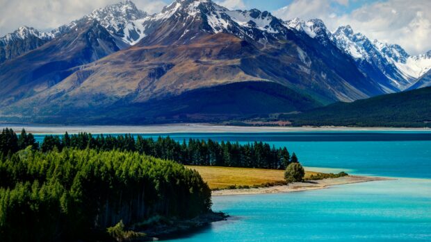 Snowy mountain range and turquoise lake surrounded by lush New Zealand scenery