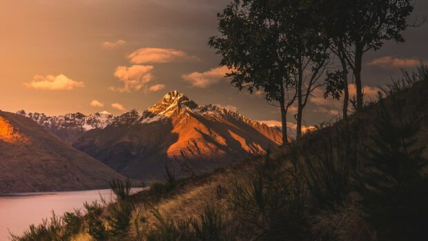 Golden sunlight illuminating New Zealand mountain landscape with trees and lake in foreground