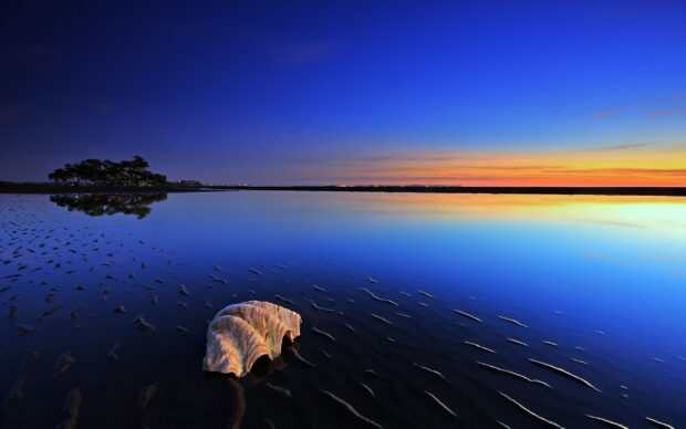 A serene ocean landscape with a large seashell on the wet sand at sunset